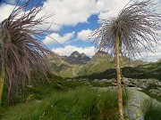 Grande anello dei Laghi della conca del Calvi-26lu23 - FOTOGALLERY